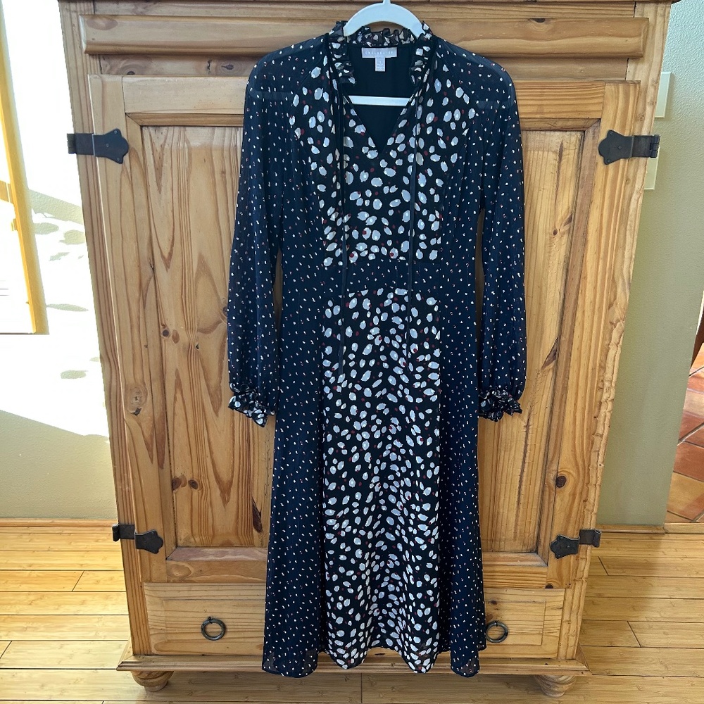 Chelsea28 Dress Long Sleeve Maxi Tie Neck Sheer Sleeves‎ Lined Women's Small